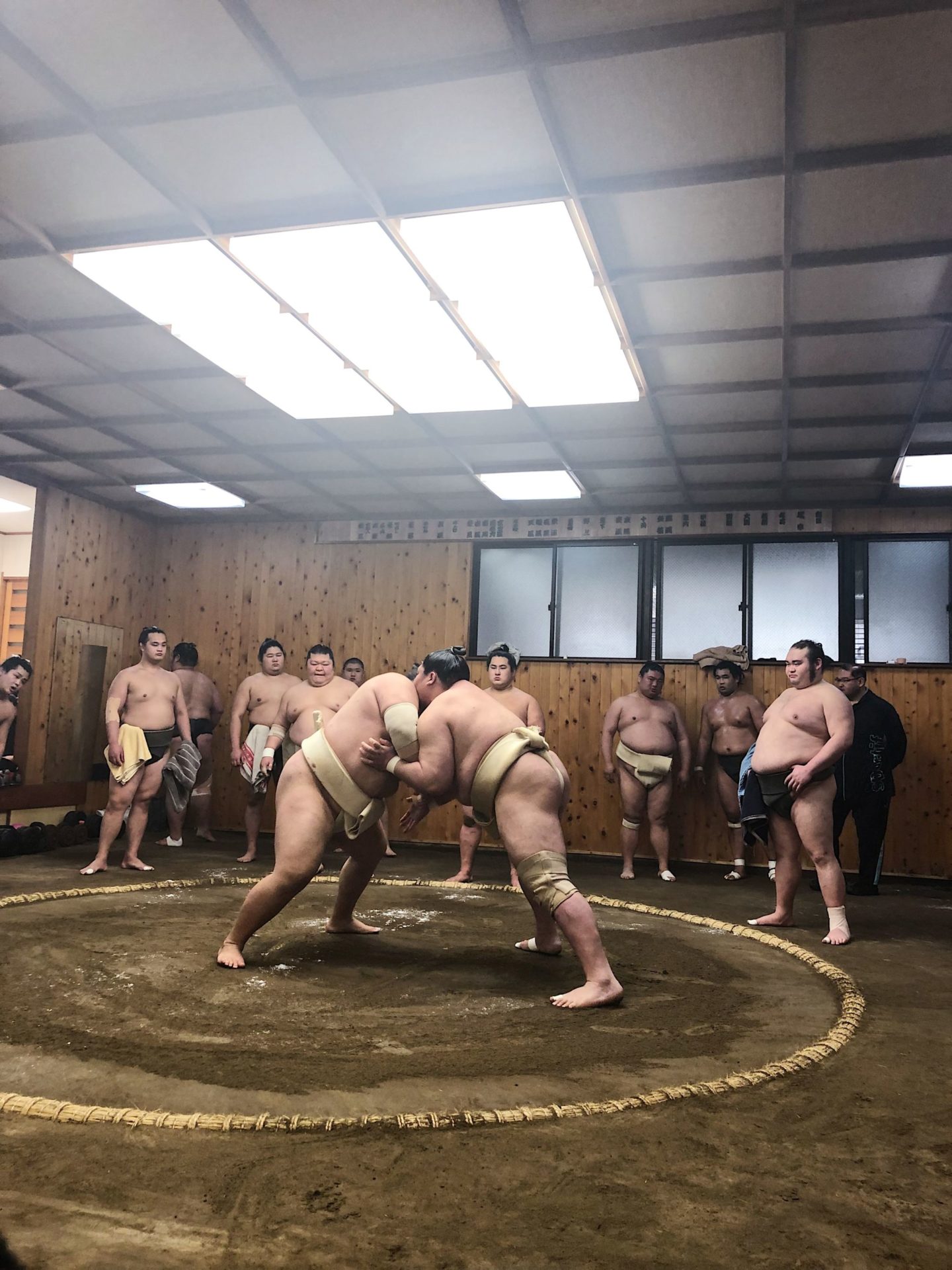 sumo wrestling tokyo